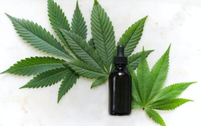 The difference between CBD oil and hemp seed oil?